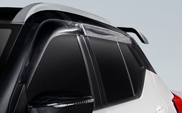 Door Visor