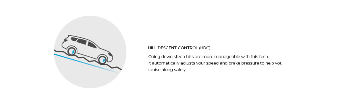 Hill Descent Control